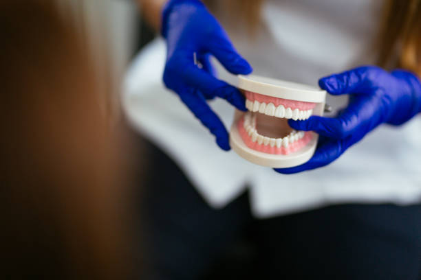 Kaser, NY Holistic Dental Care Services Company